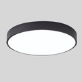 Slim Round Modern Flat LED Ceiling Lamp with Warm Light