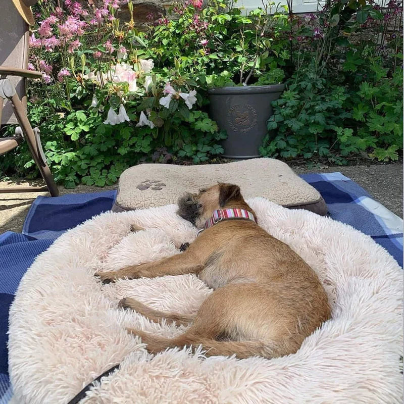 Letto impermeabile per cane con funzione calmante