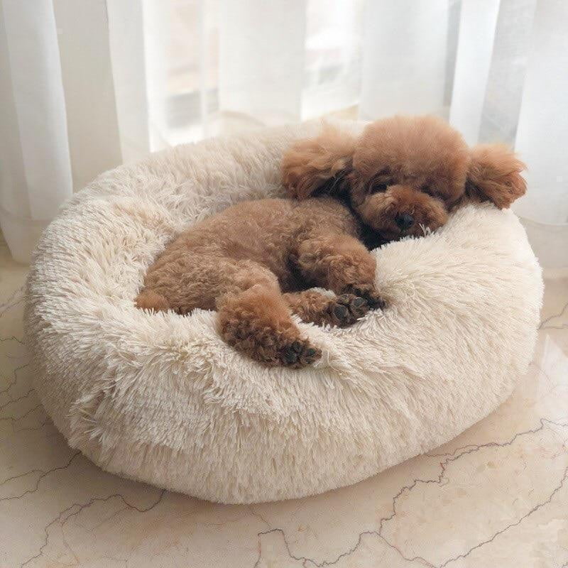 Letto impermeabile per cane con funzione calmante