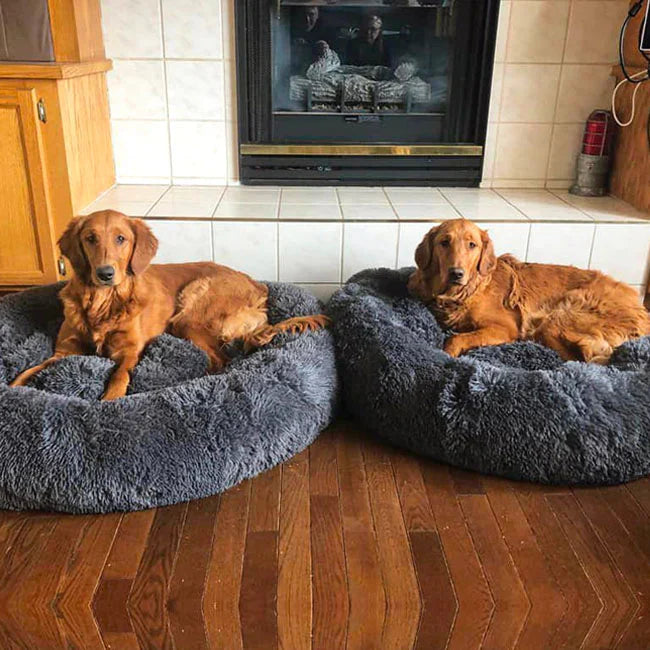 Letto impermeabile per cane con funzione calmante