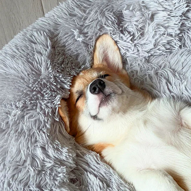 Letto impermeabile per cane con funzione calmante