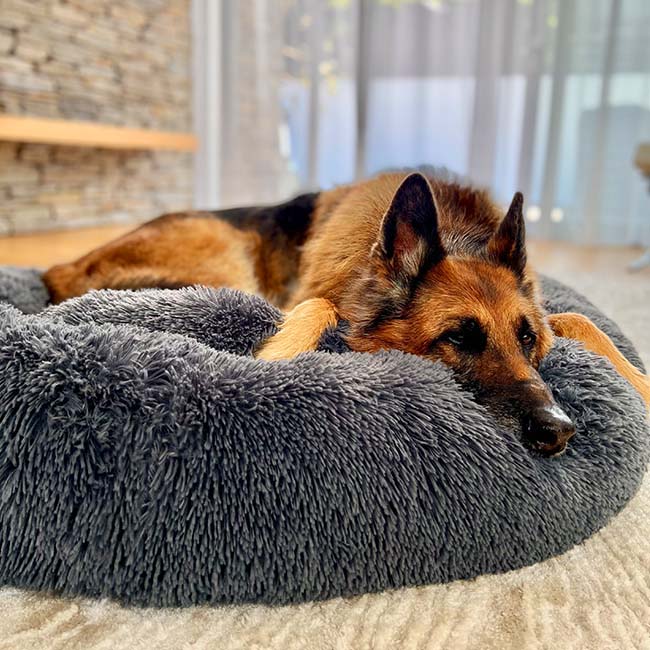 Letto impermeabile per cane con funzione calmante