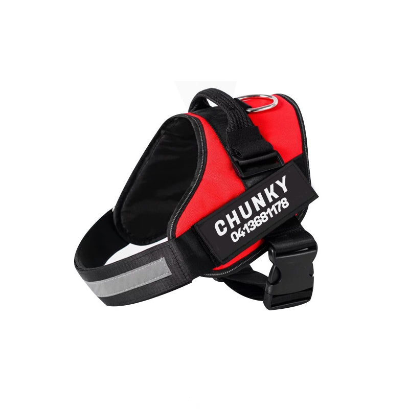 Praktyczna trwała spersonalizowana uprząż dla psa