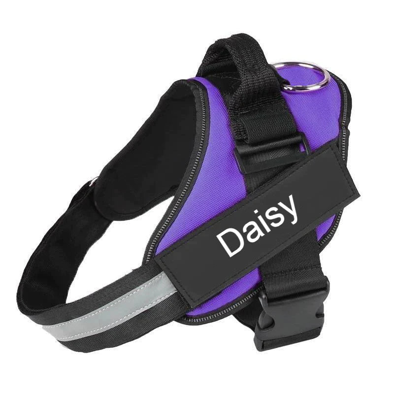 Harnais pour chien pratique, durable et personnalisé