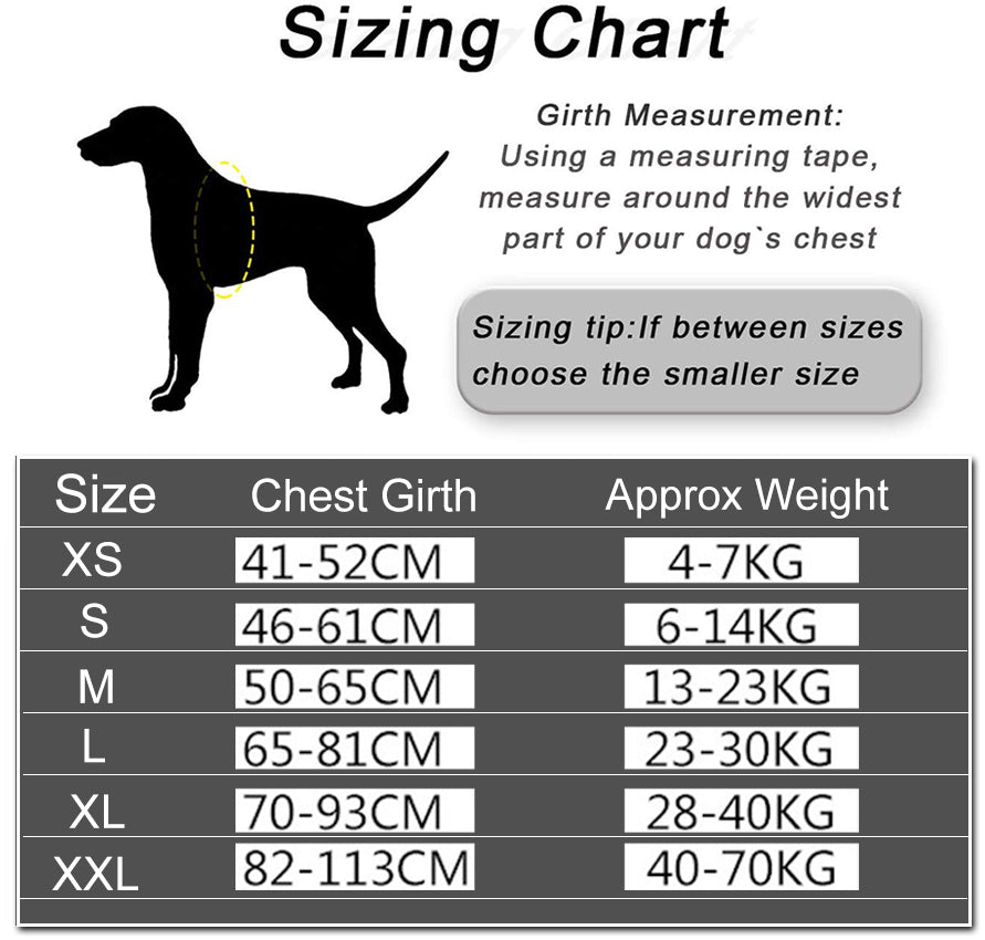 Praktyczna trwała spersonalizowana uprząż dla psa