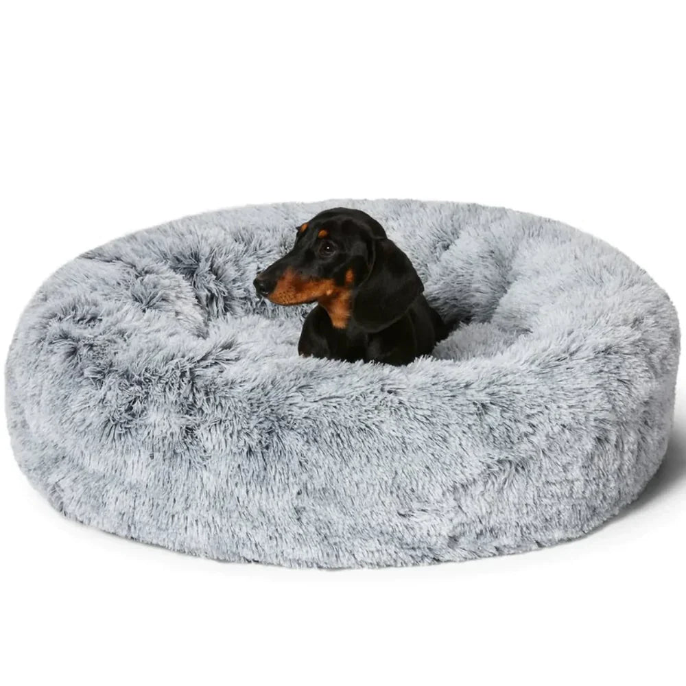 Letto impermeabile per cane con funzione calmante