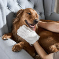 Soft Cleaning Wipes for Pets
