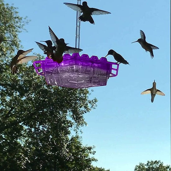 Elegancki zewnętrzny karmnik dla kolibrów z ochroną przed mrówkami