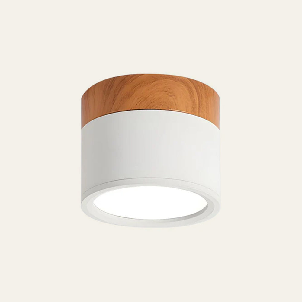 Nowoczesna lampa sufitowa LED cylindryczna typu plafon