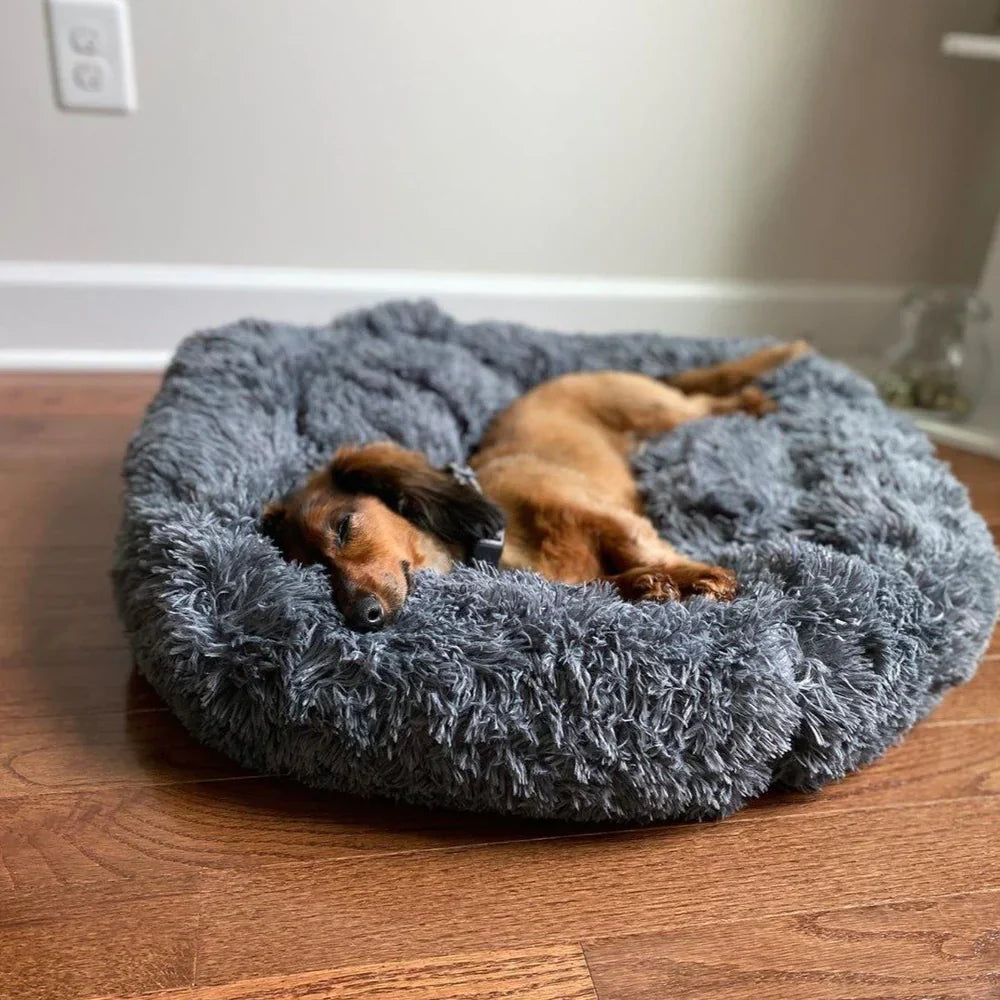 Letto impermeabile per cane con funzione calmante