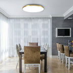 Lampada da soffitto LED rotonda luminosa a montaggio superficiale