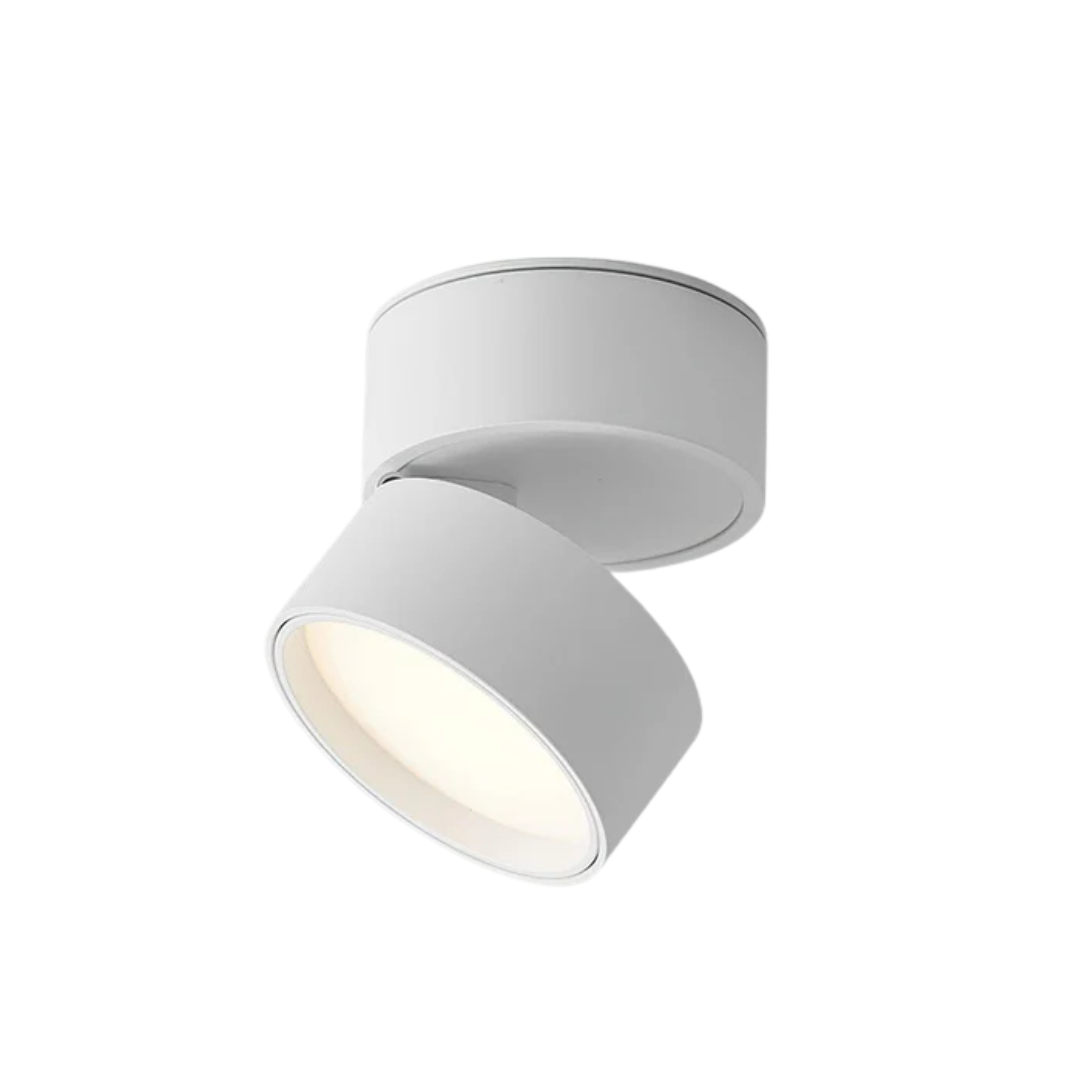 Compact Adjustable LED Ceiling Lamp with Single Light Source