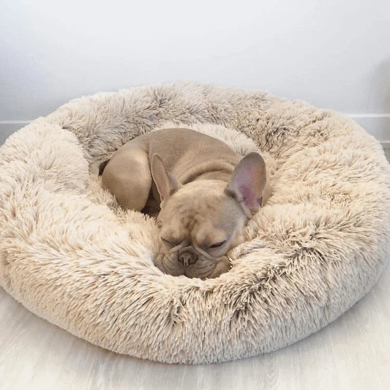 Letto impermeabile per cane con funzione calmante