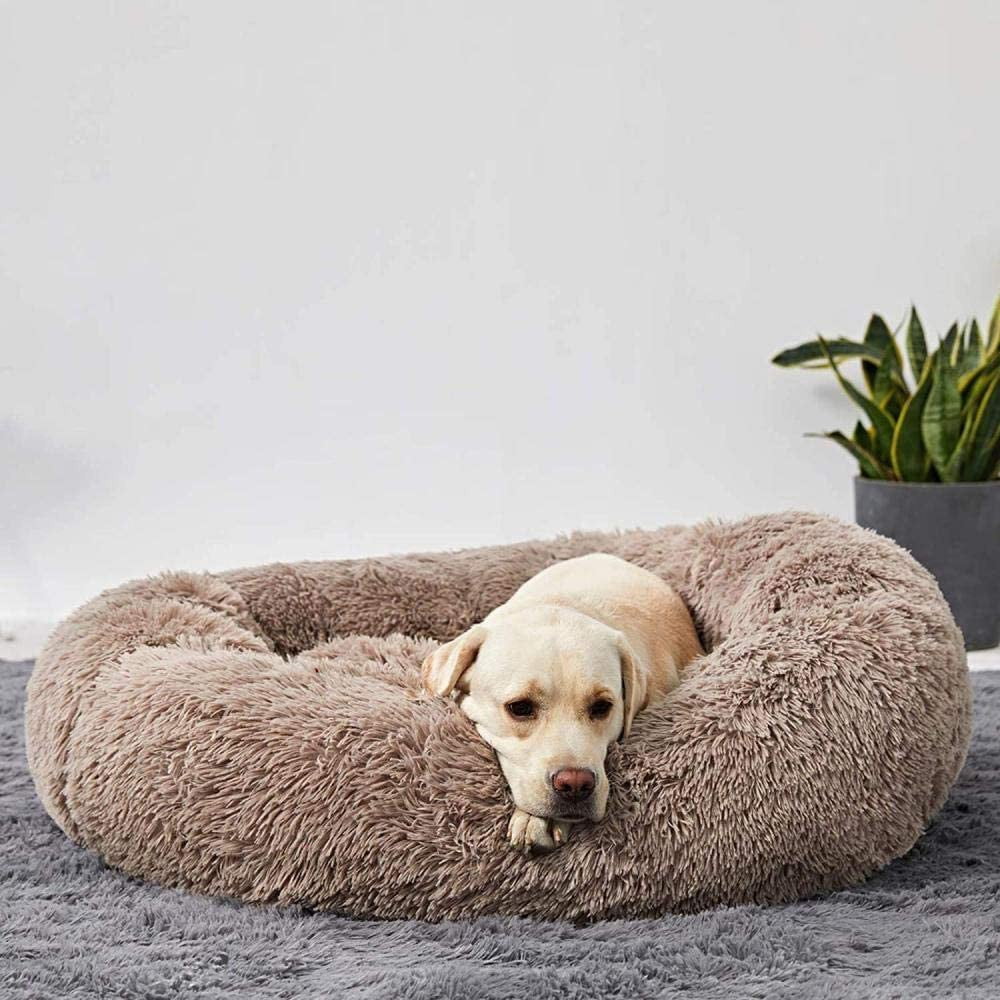 Letto impermeabile per cane con funzione calmante