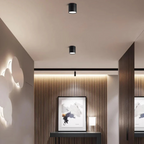 Adjustable compact LED ceiling lamp with a single light point