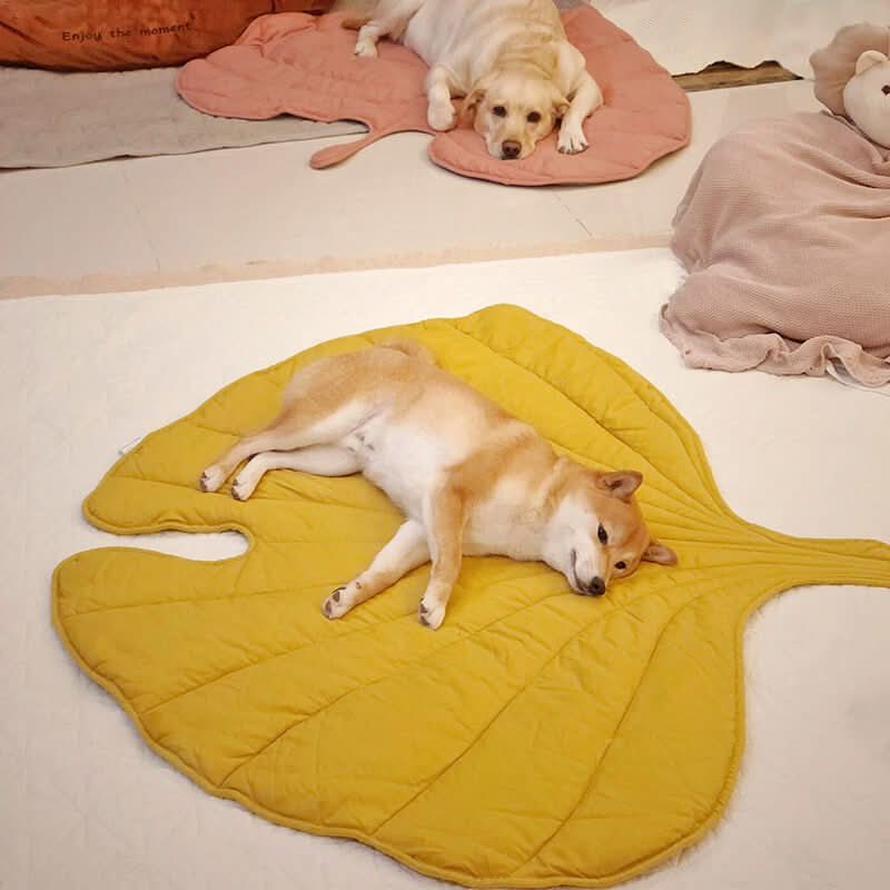 Tapis de niche pour chien avec motif grandes feuilles