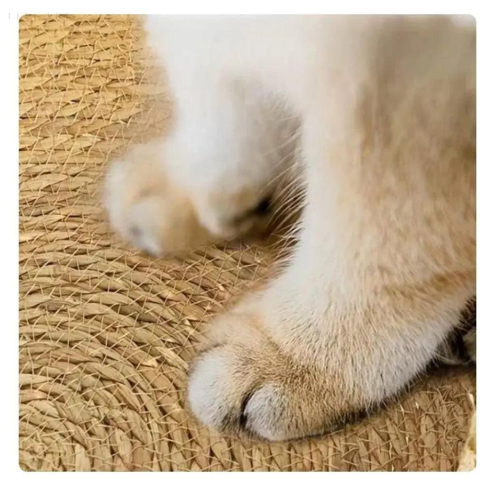 Ultra-miękkie okrągłe legowisko kota