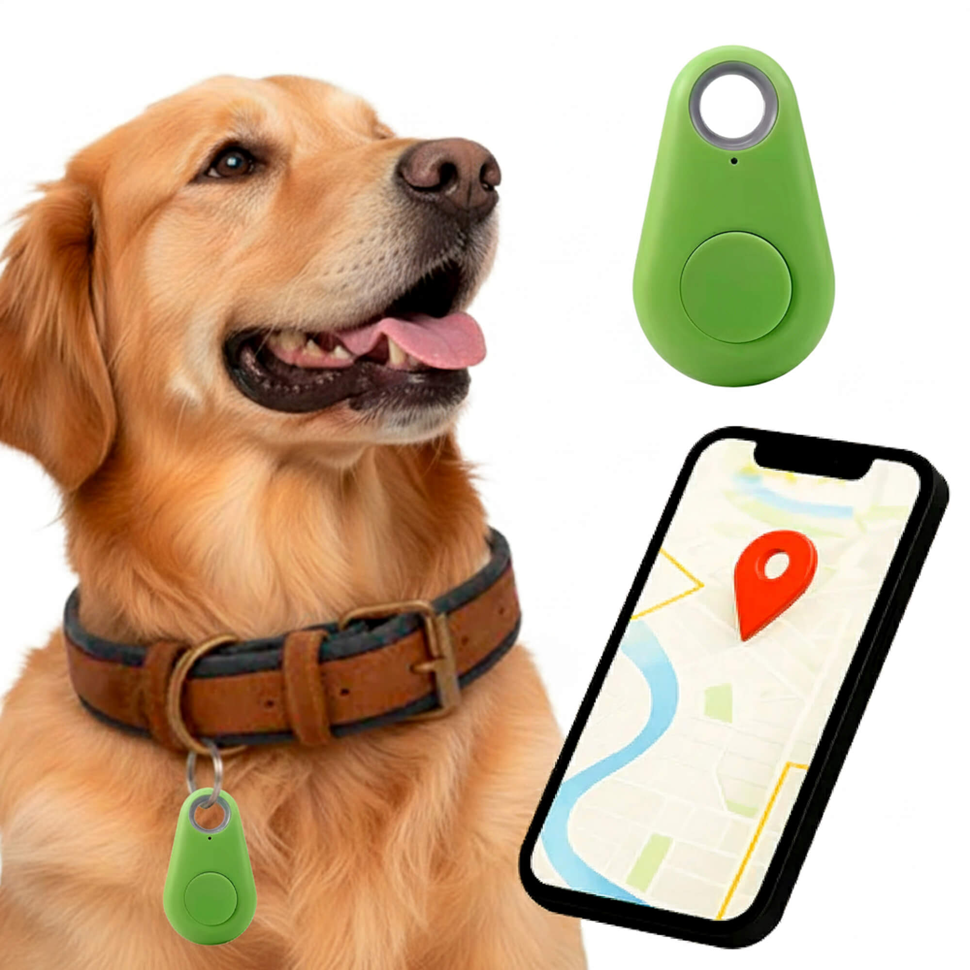Localizzatore GPS impermeabile per animali domestici con funzionamento in tempo reale