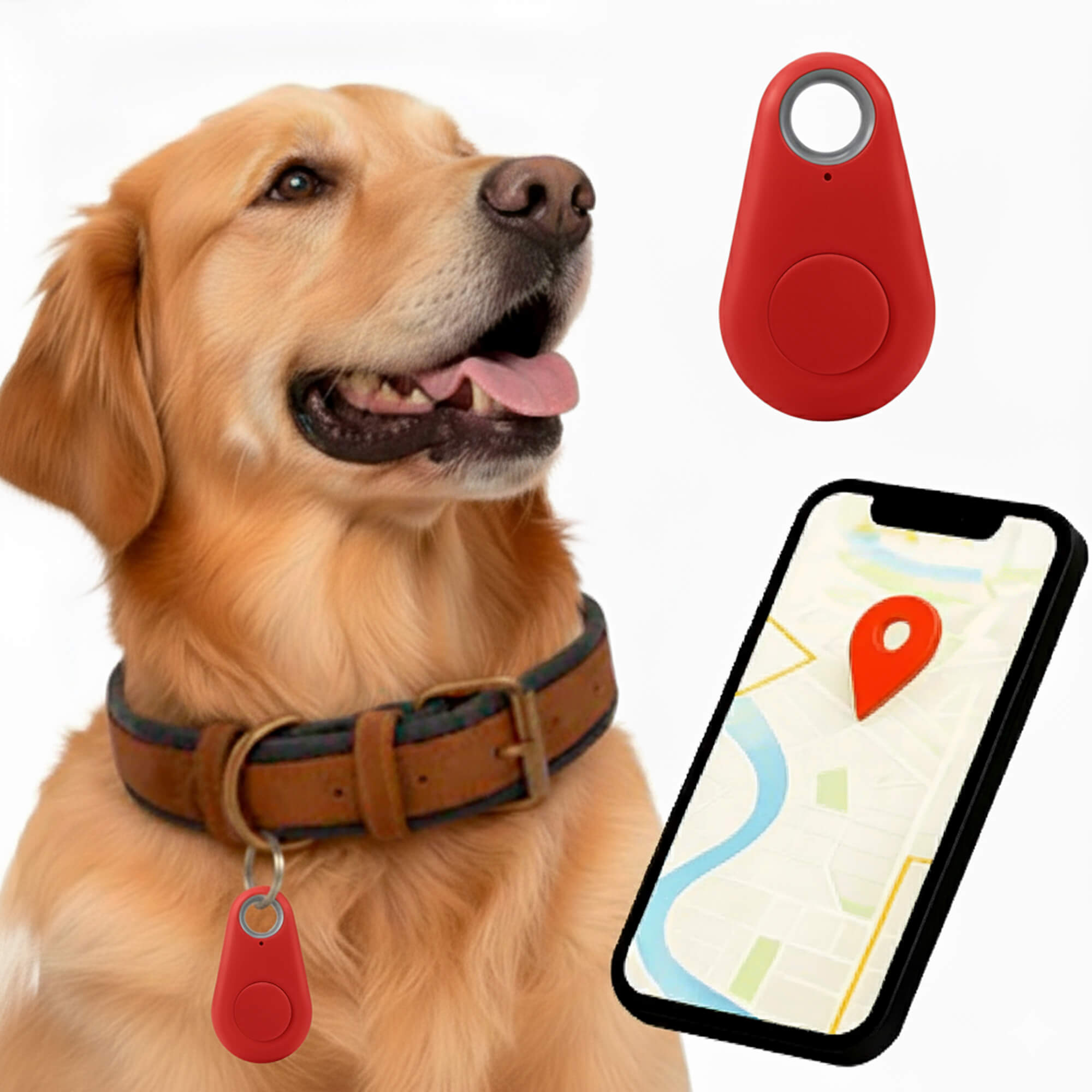 Localizzatore GPS impermeabile per animali domestici con funzionamento in tempo reale