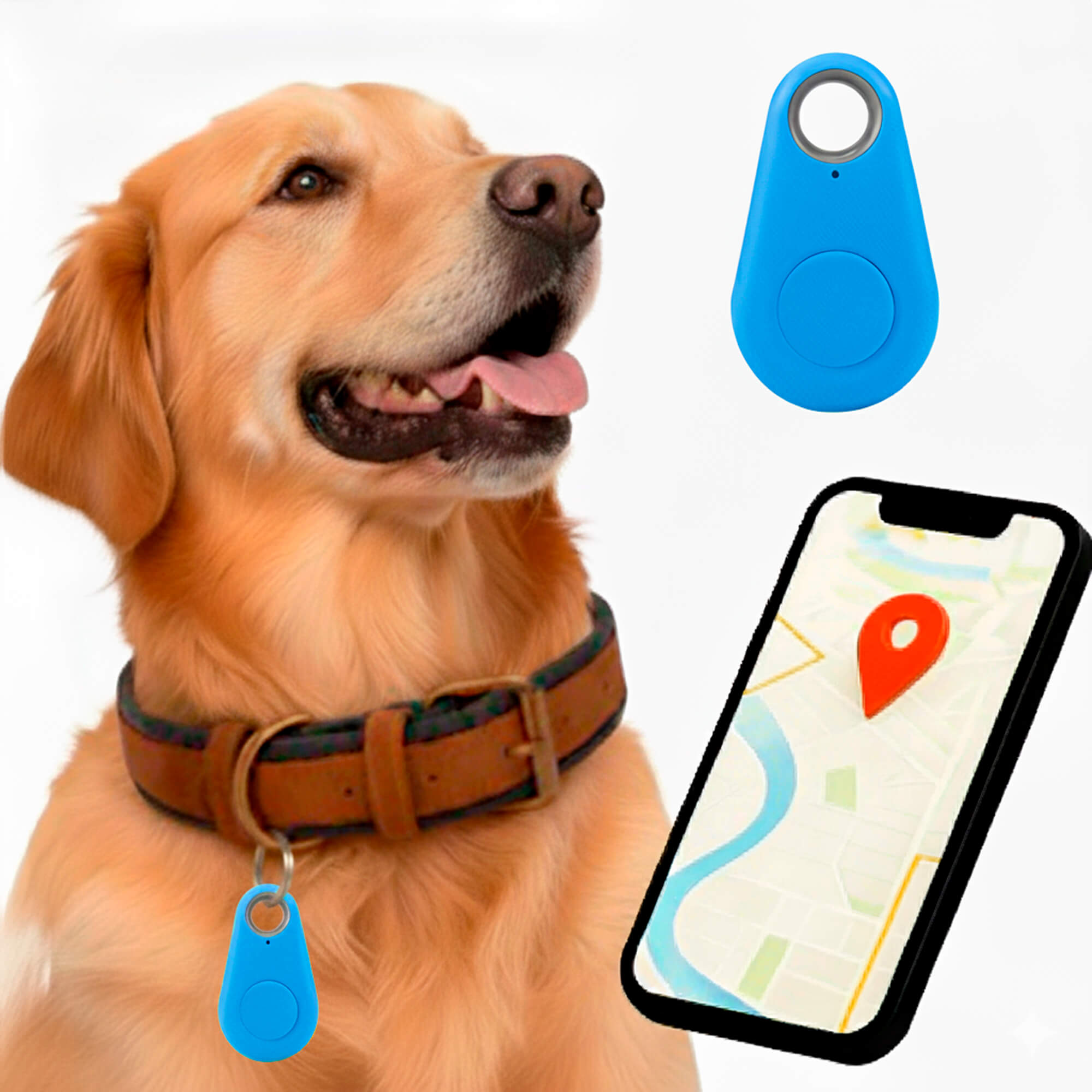 Localizzatore GPS impermeabile per animali domestici con funzionamento in tempo reale