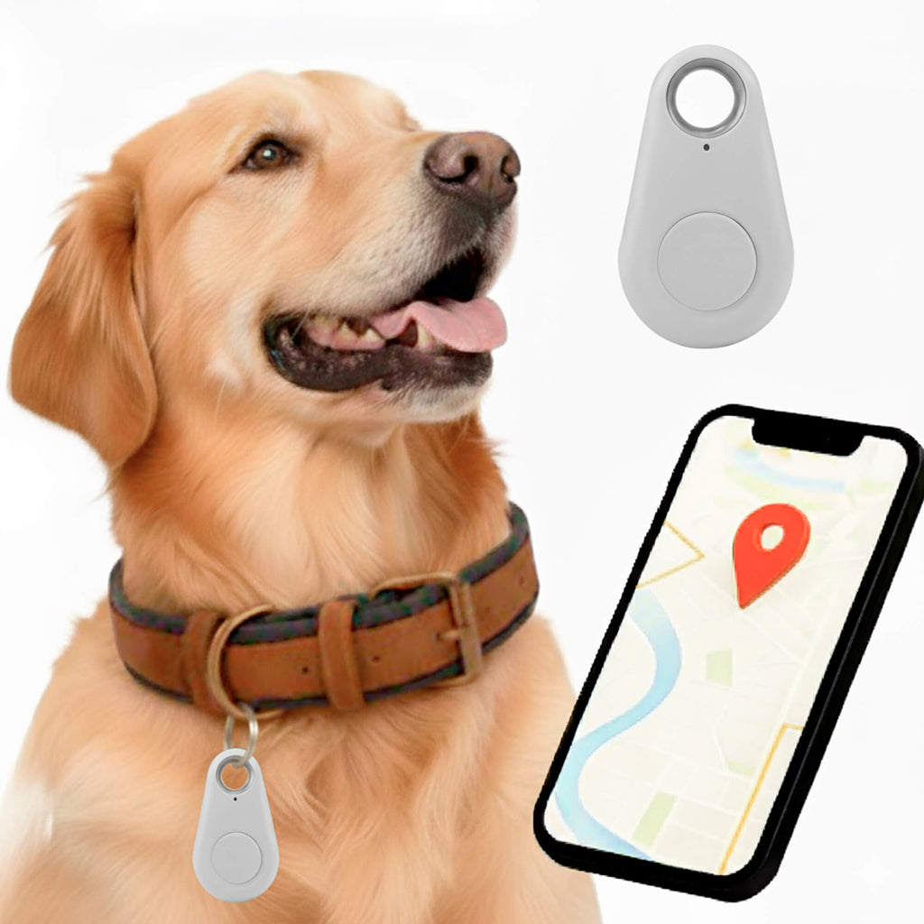Wodoodporny lokalizator GPS dla zwierząt domowych działający w czasie rzeczywistym