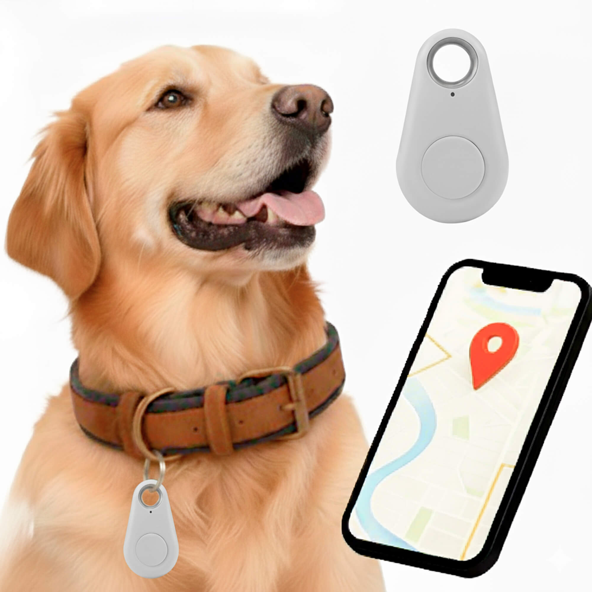 Localizzatore GPS impermeabile per animali domestici con funzionamento in tempo reale