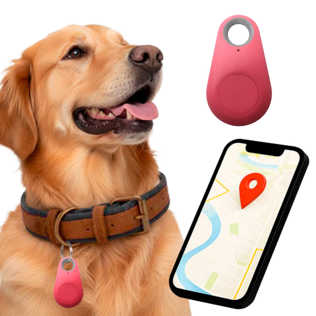 Wodoodporny lokalizator GPS dla zwierząt domowych działający w czasie rzeczywistym