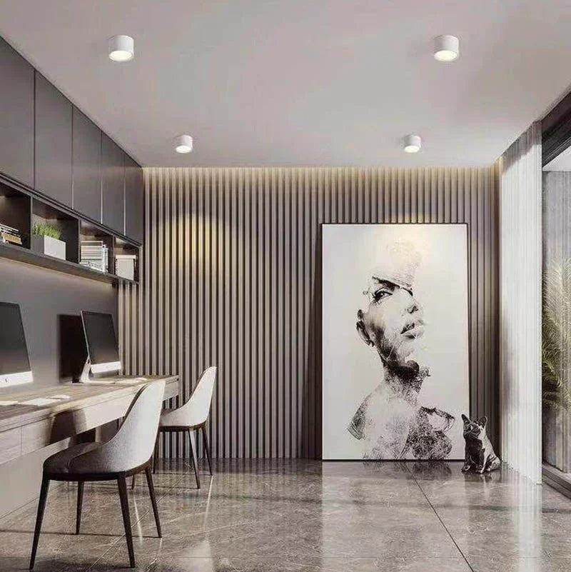 Verstellbare LED-Deckenstrahler, moderner Aufbauspot