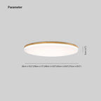 Lampada da soffitto LED modernista e universale per interni