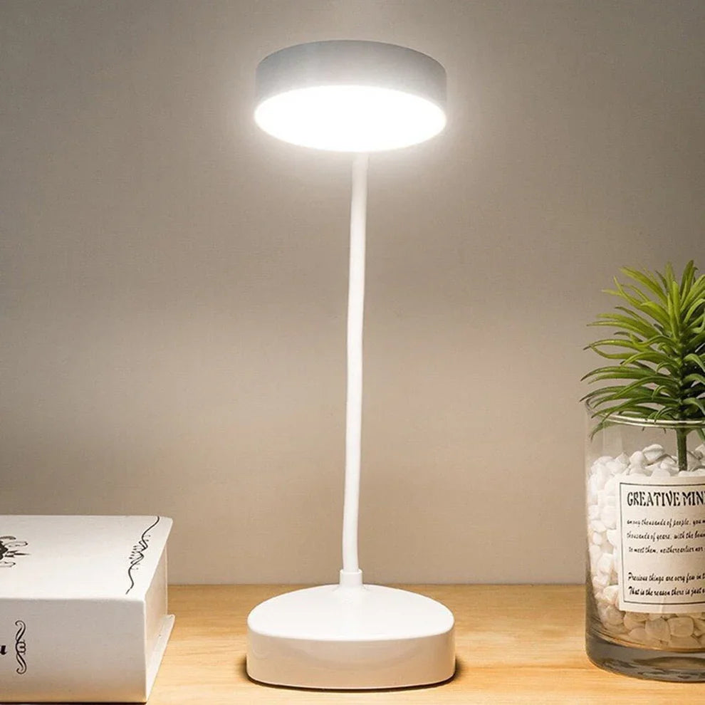 LED desk lamp with touch brightness adjustment and flexible neck