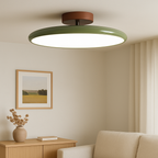 Lampe de plafond moderne réglable avec éclairage LED intégré