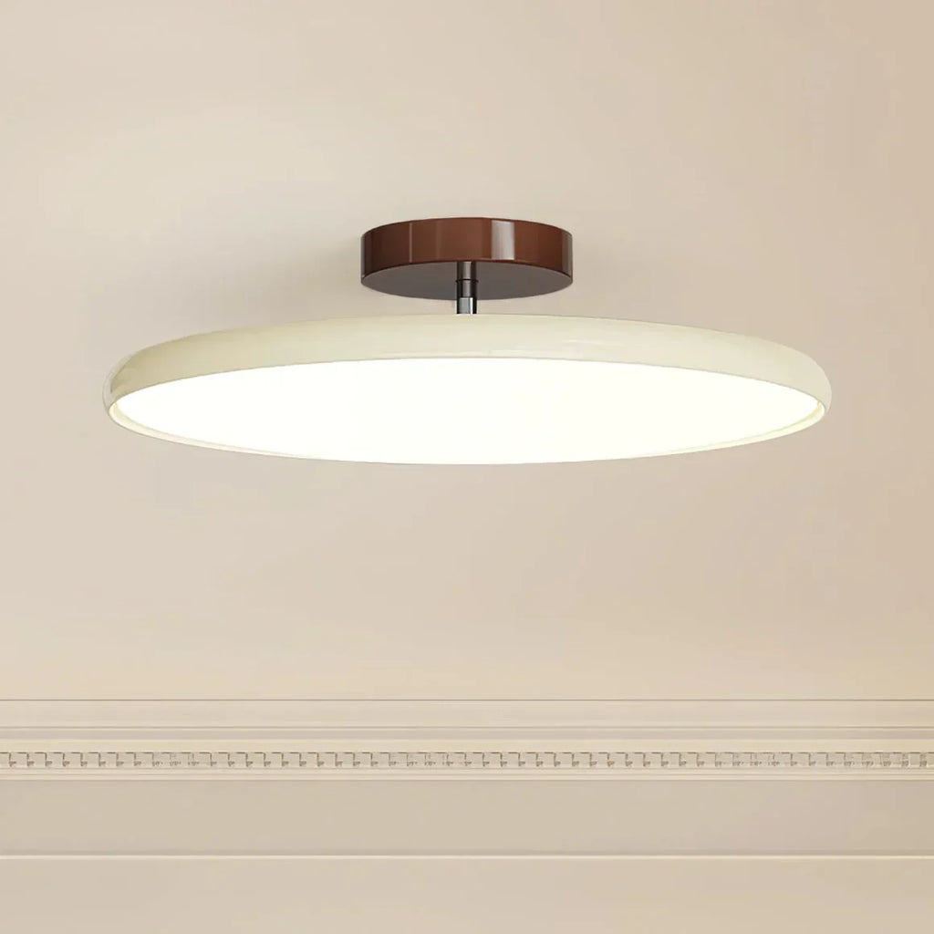 Round Slim LED Surface-Mounted Ceiling Light Fixture