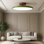Lampada da soffitto LED sottile rotonda a superficie