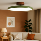 Lampe de plafond moderne réglable avec éclairage LED intégré