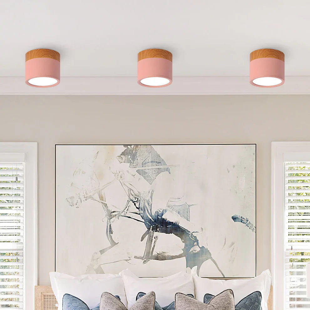 Compact Slim Scandinavian Surface-Mounted Ceiling Lamp