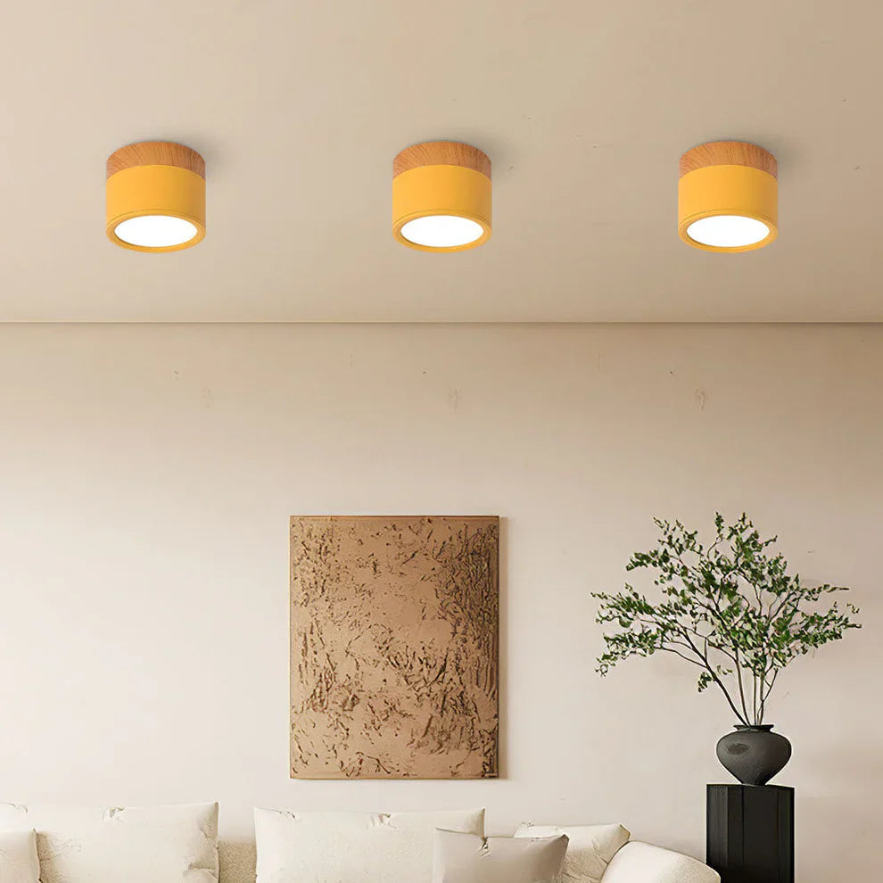 Compact Slim Scandinavian Surface-Mounted Ceiling Lamp