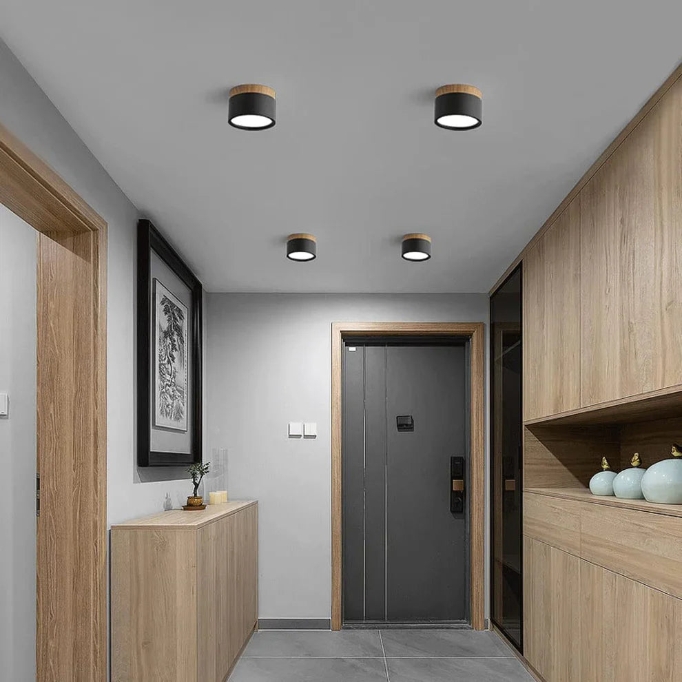 Compact Slim Scandinavian Surface-Mounted Ceiling Lamp