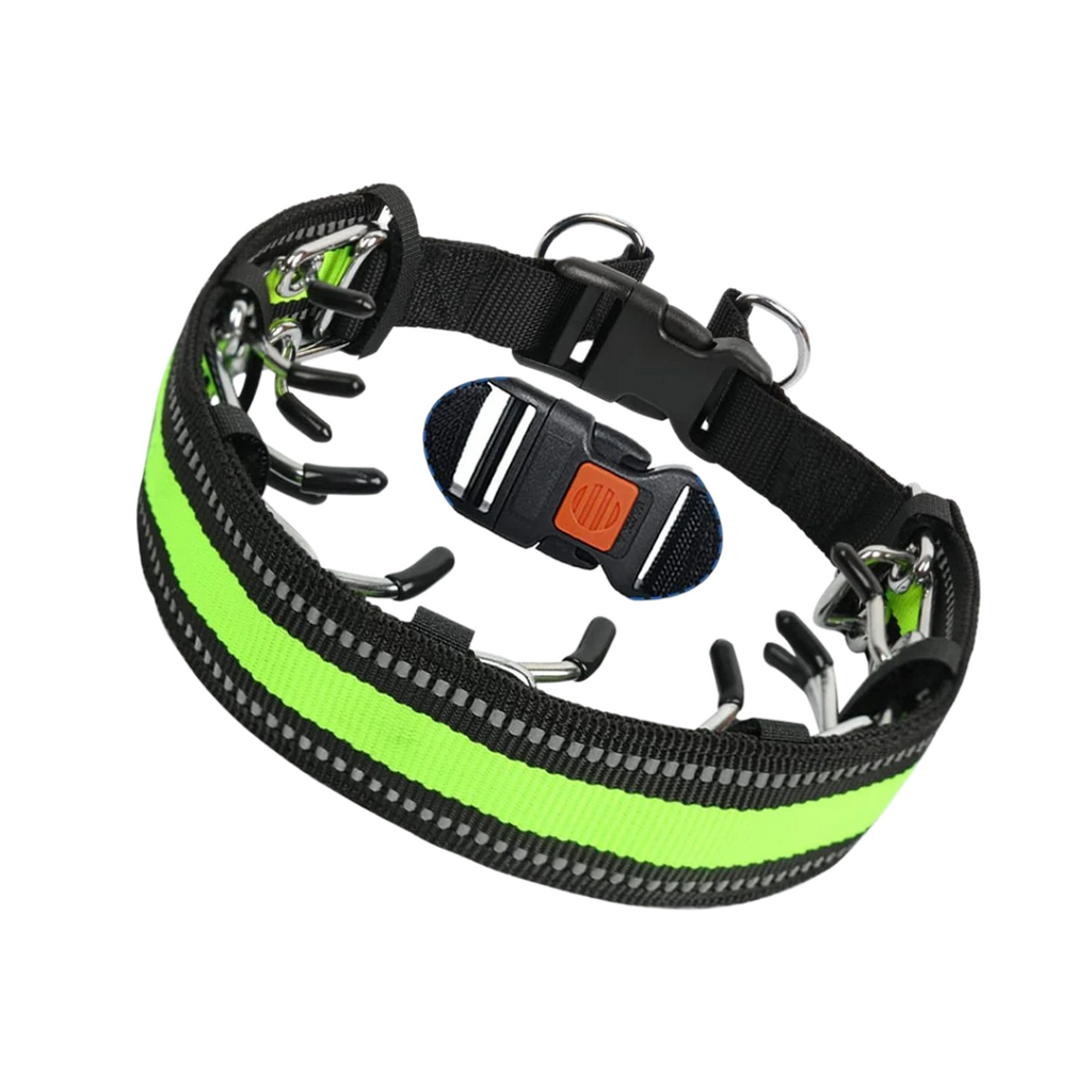 Collier de dressage réglable pour promener son chien en toute maîtrise