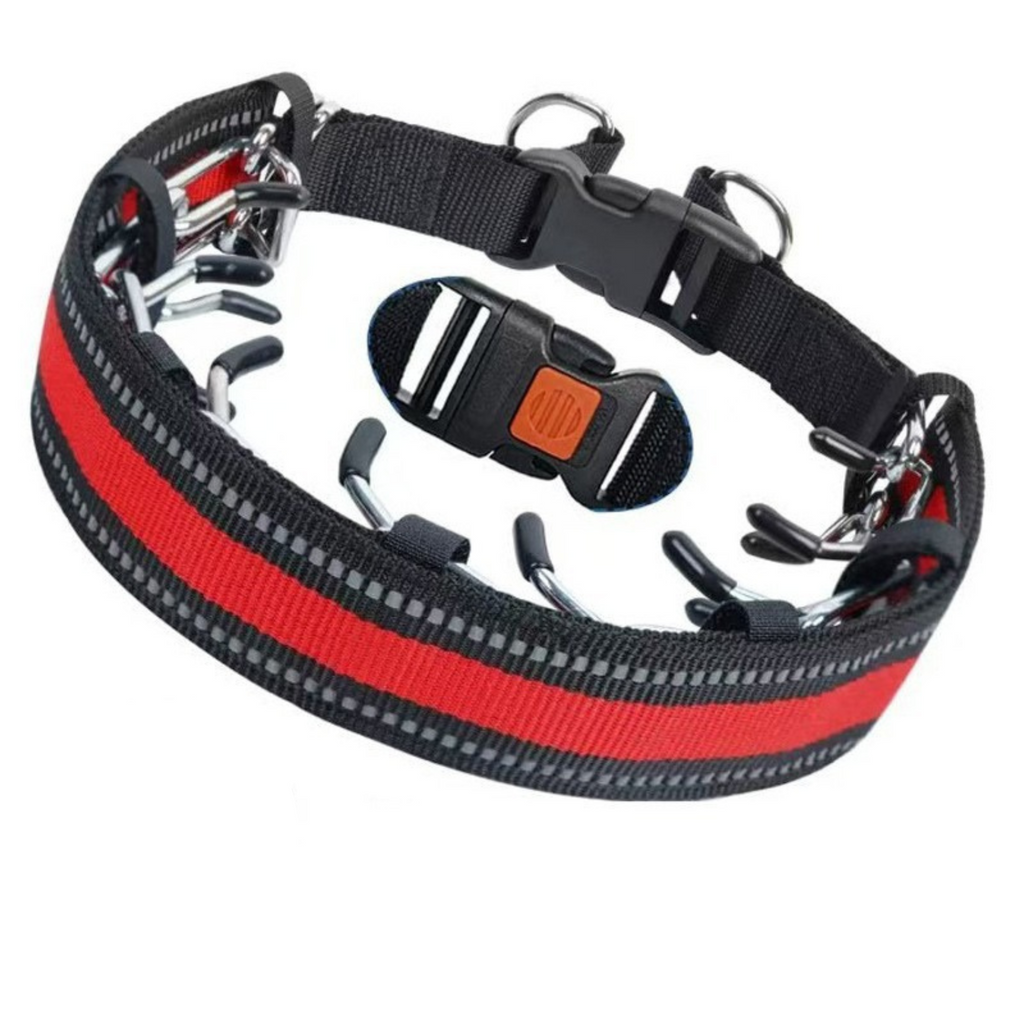 Collier de dressage réglable pour promener son chien en toute maîtrise