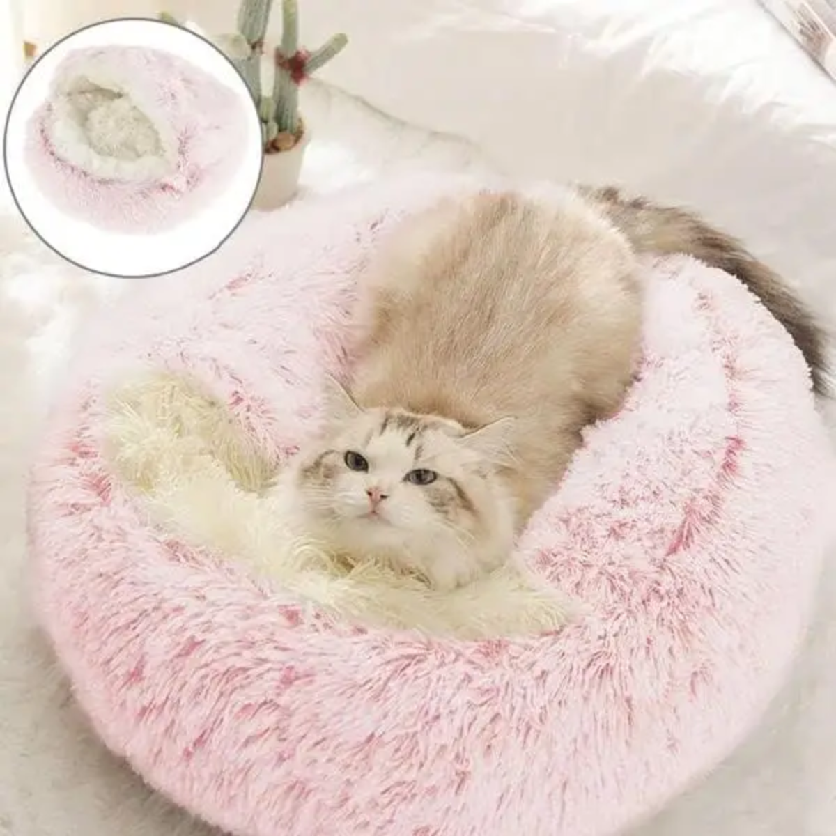 Cuccia rotonda per animali con cappuccio