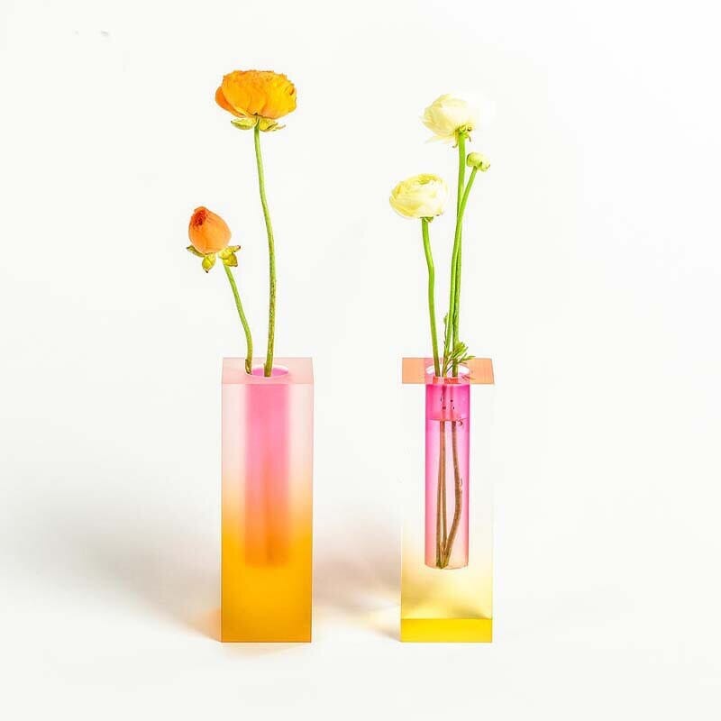 Vaso colorato moderno per la decorazione di piante da interno