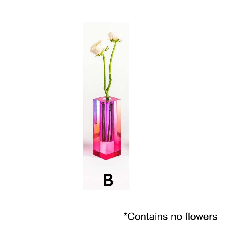 Modern colorful planter for styling houseplants