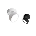 Adjustable compact LED ceiling lamp with a single light point