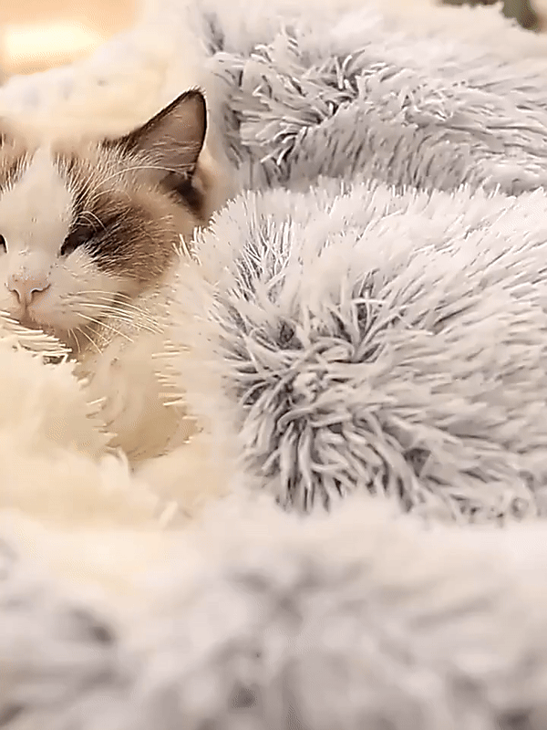 Cuccia rotonda per animali con cappuccio