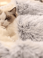 Cuccia rotonda per animali con cappuccio