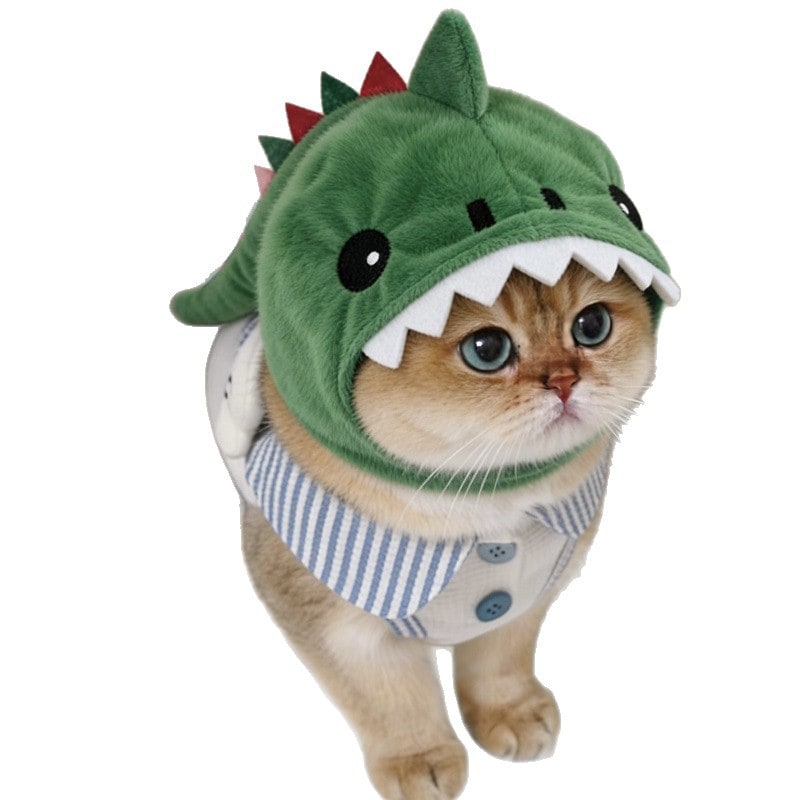 Cat Hat Hooded with Dinosaur Design Interactive Toy Options - Image 1