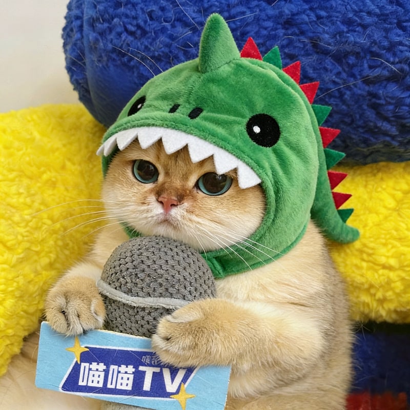 Cat Hat Hooded with Dinosaur Design Interactive Toy Options - Image 7
