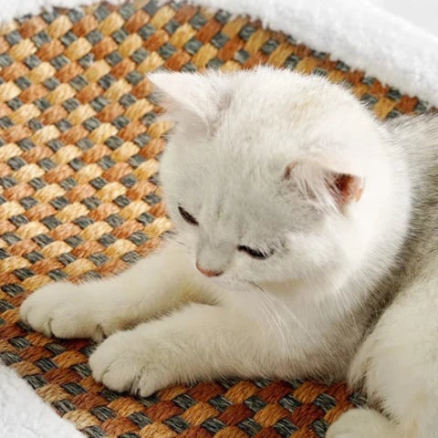 Cat Scratcher Bed with Plush Bolster and Woven Scratch Pad Oval Low-Profile Design - Image 2