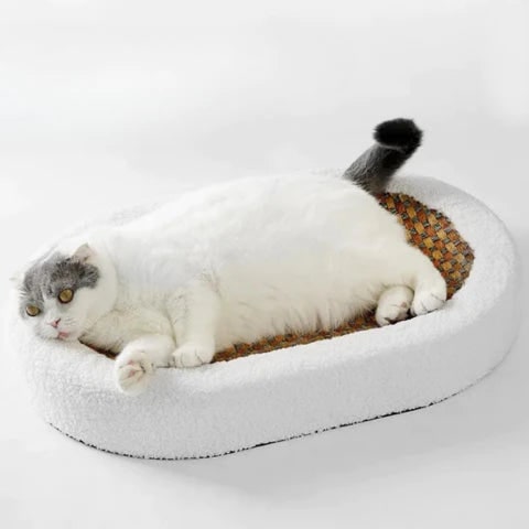Cat Scratcher Bed with Plush Bolster and Woven Scratch Pad Oval Low-Profile Design - Image 3