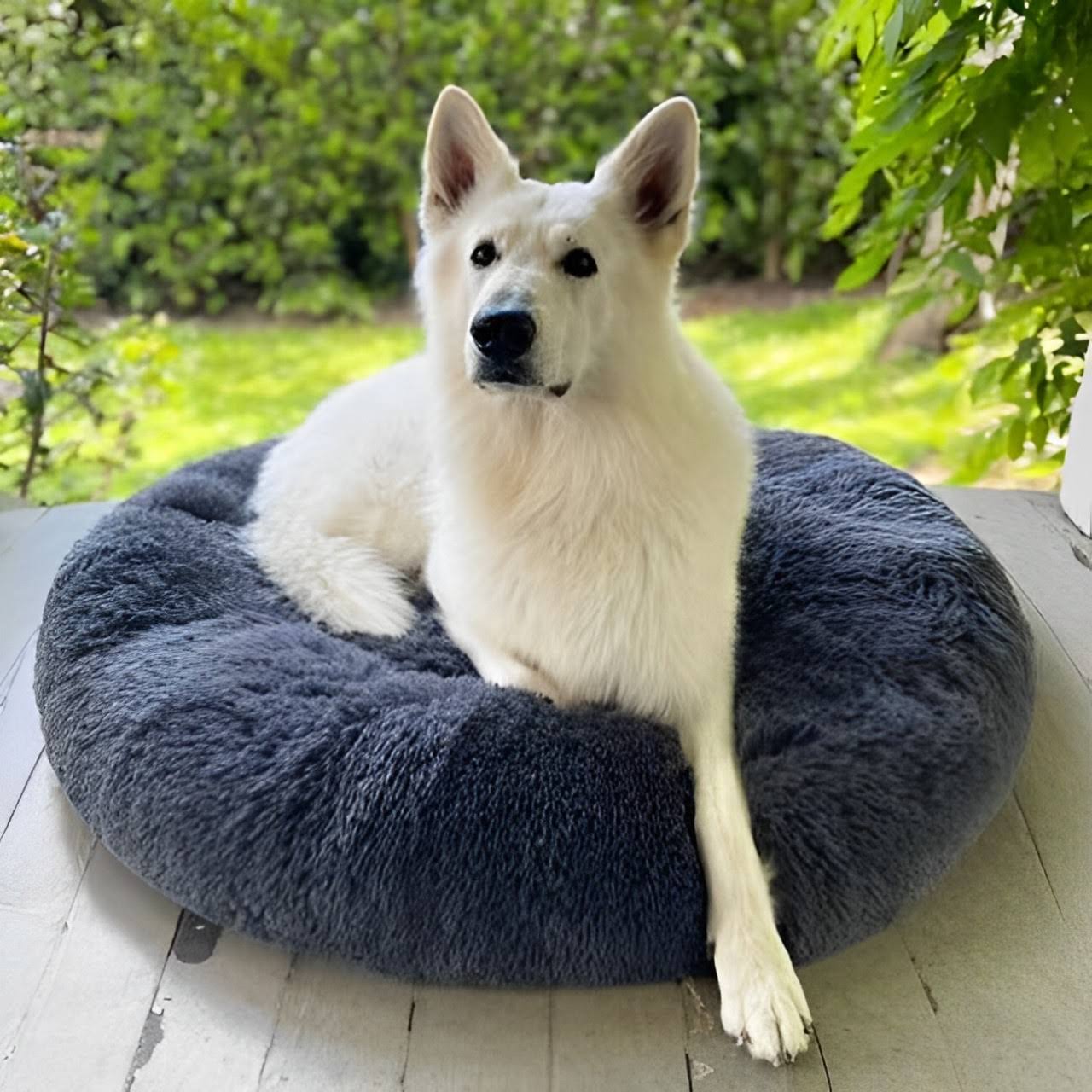 Letto impermeabile per cane con funzione calmante